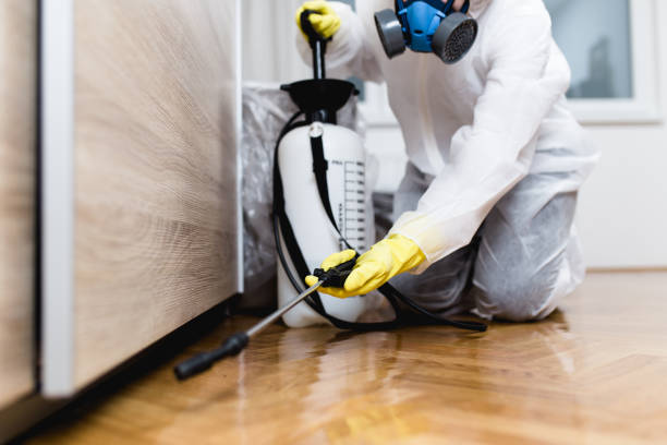 Best Pest Inspection Near Me  in West Monroe, LA