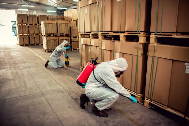 Best Cockroach Control Services  in West Monroe, LA
