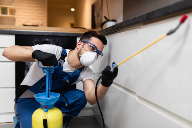 Best Bed Bug Extermination  in West Monroe, LA