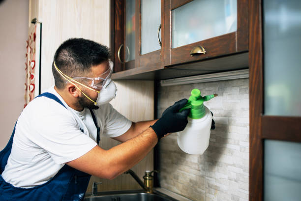 Best Pest Removal Services  in West Monroe, LA