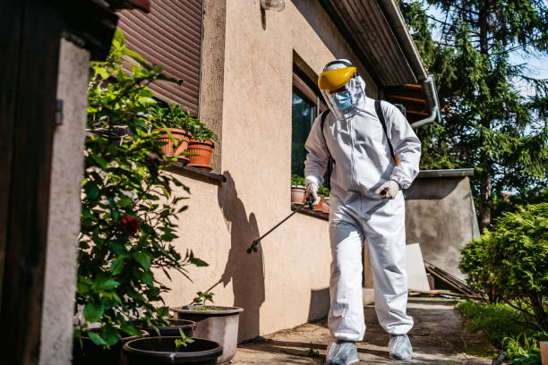 Best Local Pest Control Services  in West Monroe, LA