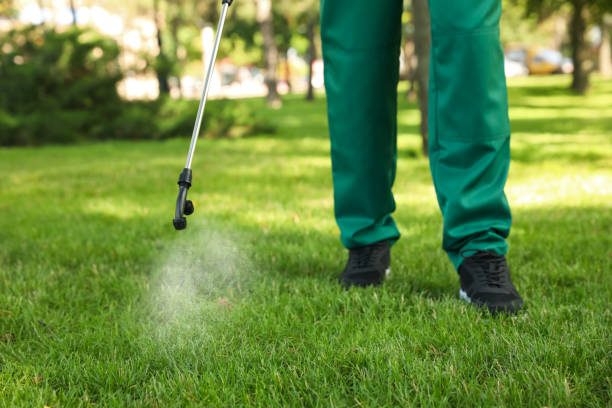 Pest Control for Restaurants in West Monroe, LA
