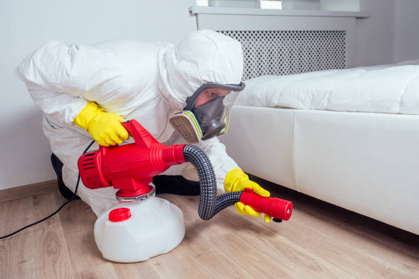 Best Local Pest Control Services  in West Monroe, LA