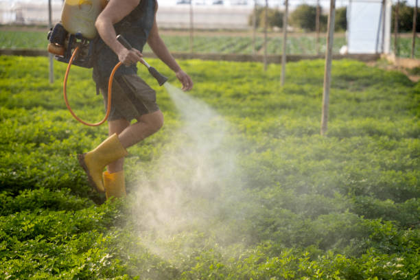 Best Best Pest Control Companies  in West Monroe, LA