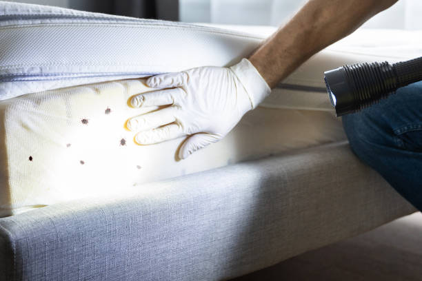 Best Emergency Pest Control  in West Monroe, LA
