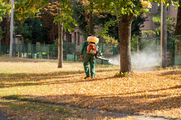 Best Flea Control Services  in West Monroe, LA
