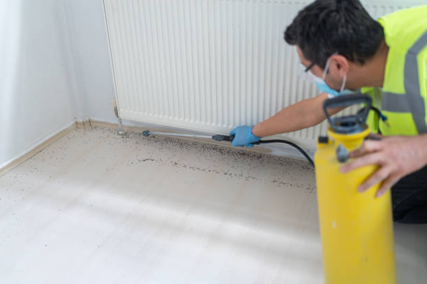 Best Pest Control Near Me  in West Monroe, LA