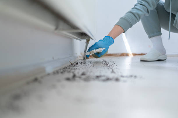 Best Affordable Pest Control Services  in West Monroe, LA